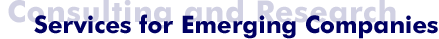 Emerging Companies and Economic/Technology Services