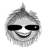 hairy onion